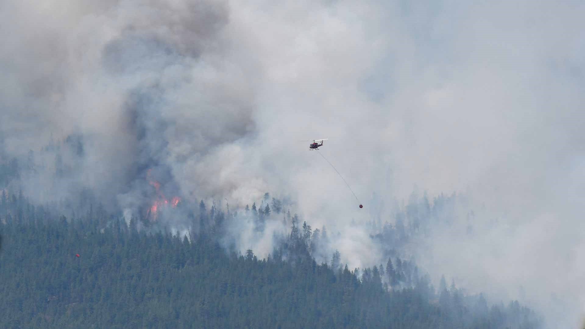 Image for the title: Wildfires rage across western Canada and California 