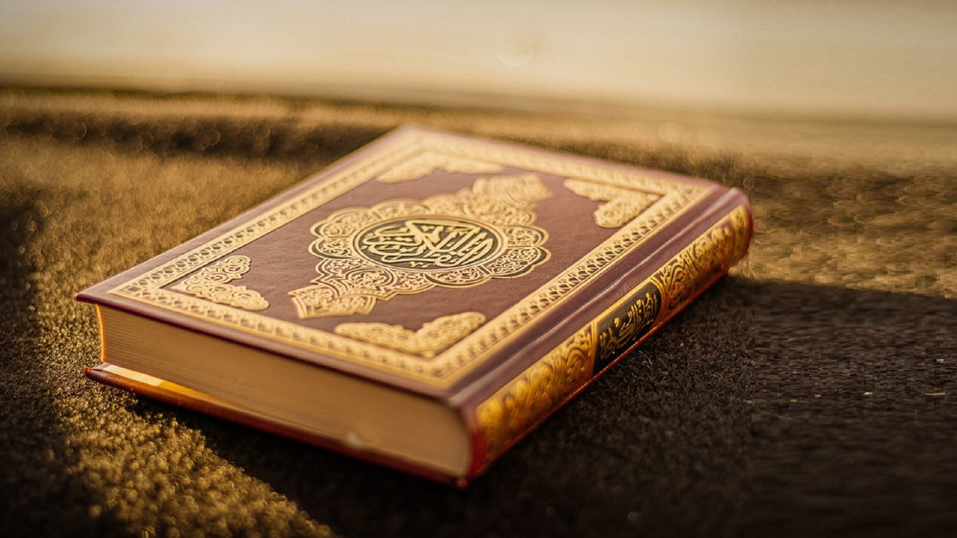 صورة بعنوان: مركز حميد النعيمي لخدمة القرآن الكريم يطلق فعالياته الصيفية 