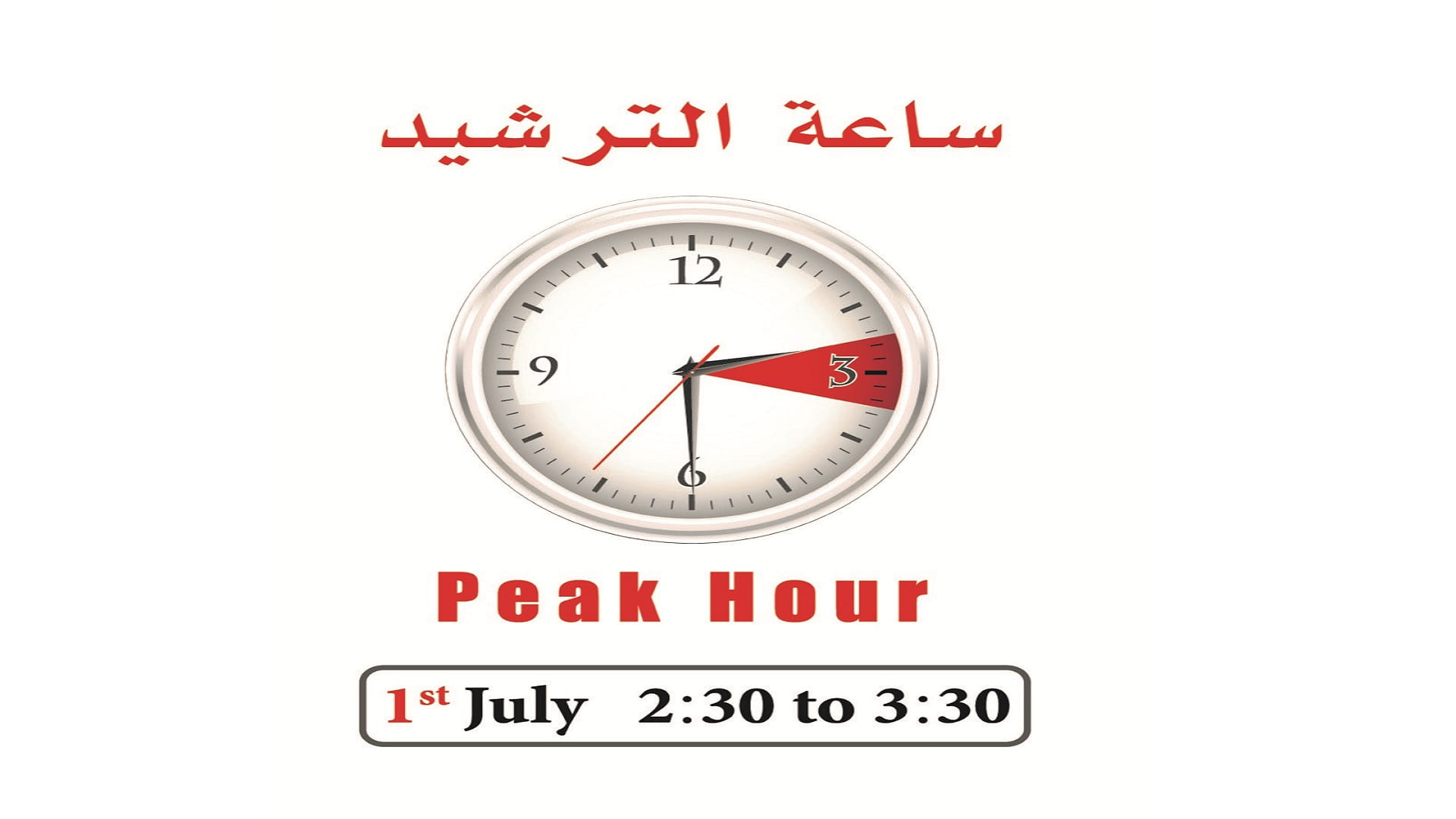 Image for the title: SEWA’s Khorfakkan Department organises Conservation Hour Council 