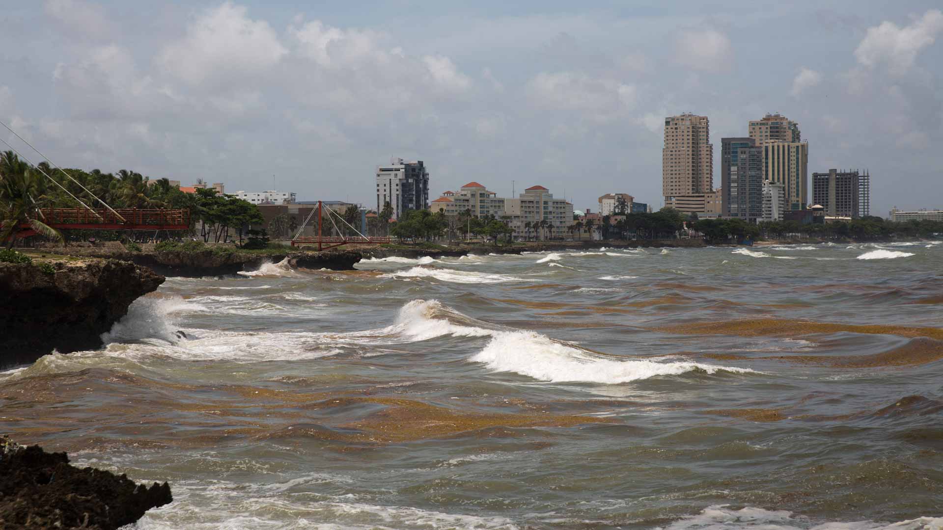 Image for the title: Tropical Storm Elsa brings strong winds, steady downpour to Cuba 