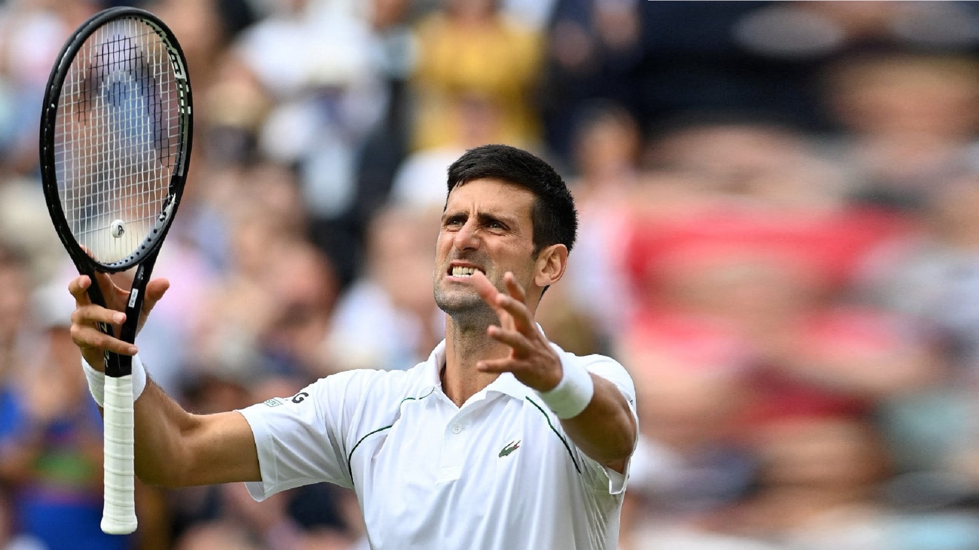 Image for the title: Djokovic into seventh Wimbledon final, 30th at Grand Slams 