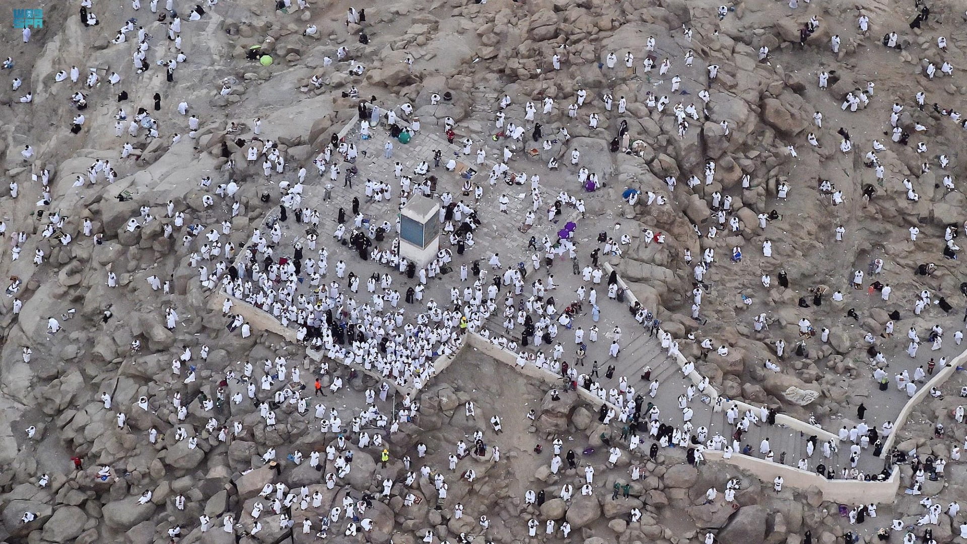 Image for the title: Plans to ascend pilgrims to Arafat went successful, officials  