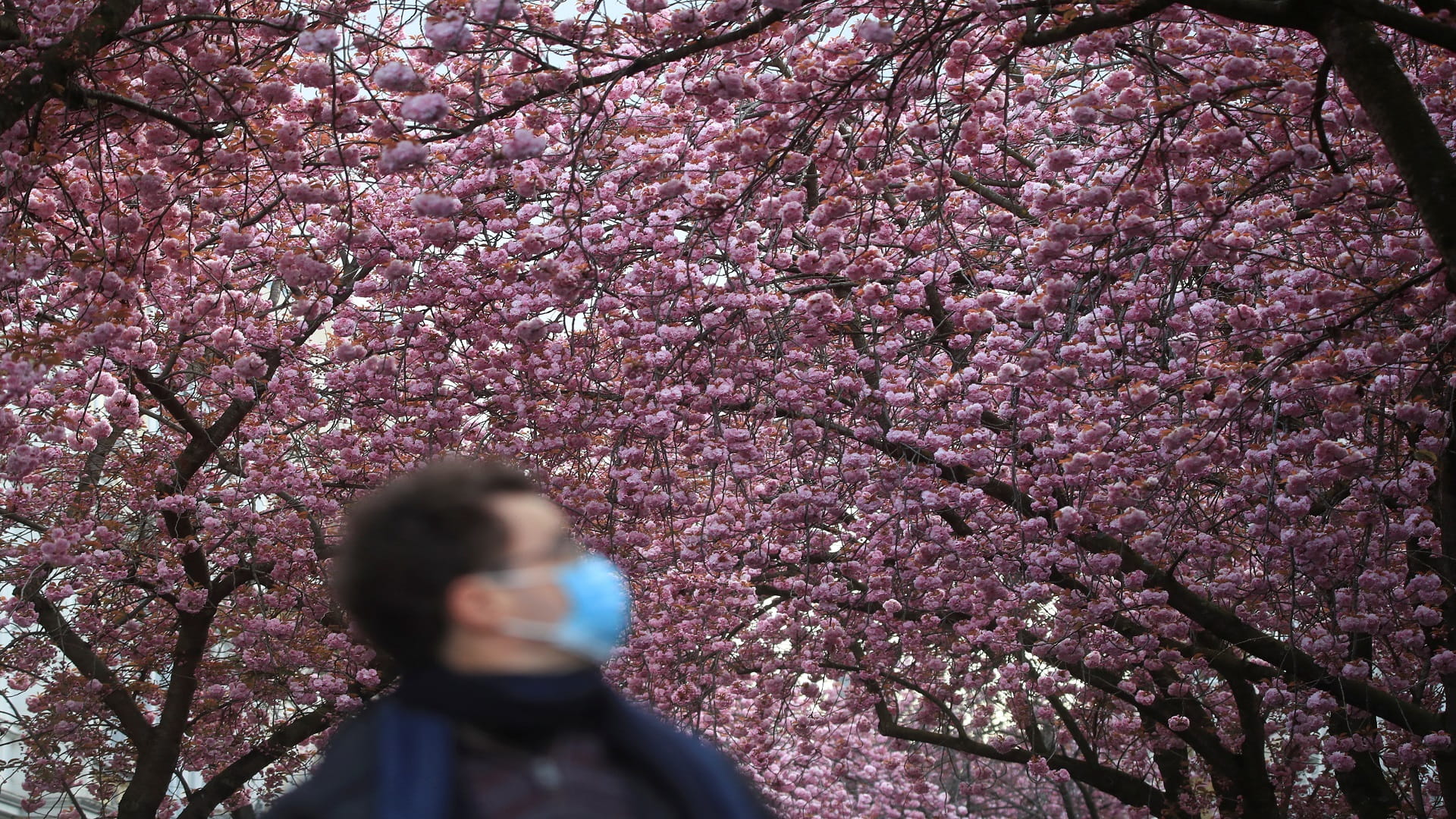 صورة بعنوان: ألمانيا تضيف للحصيلة 2203 إصابات جديدة بفيروس كورونا و19 وفاة 
