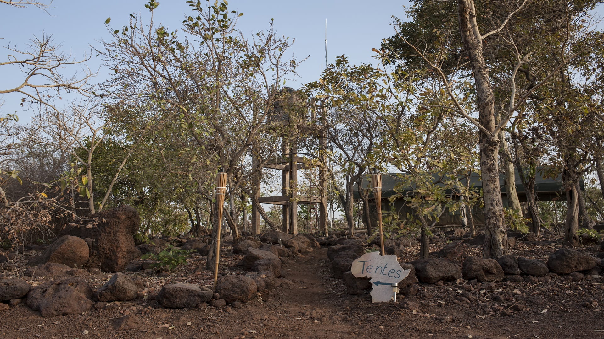 Image for the title: West African nature reserve escapes endangered listing 