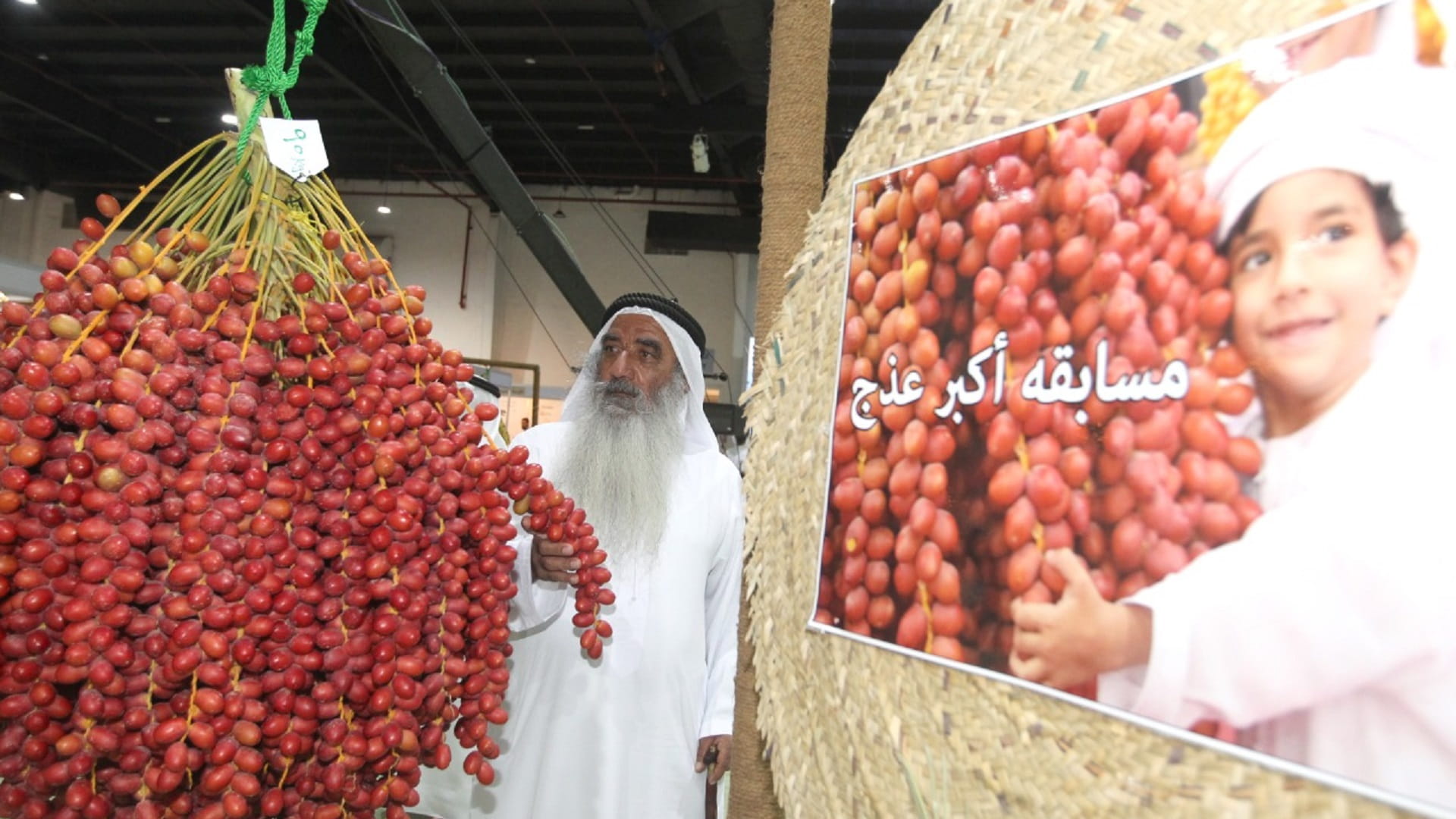 Image for the title: Al Dhaid Date Festival: An incredible platform for palm owners 