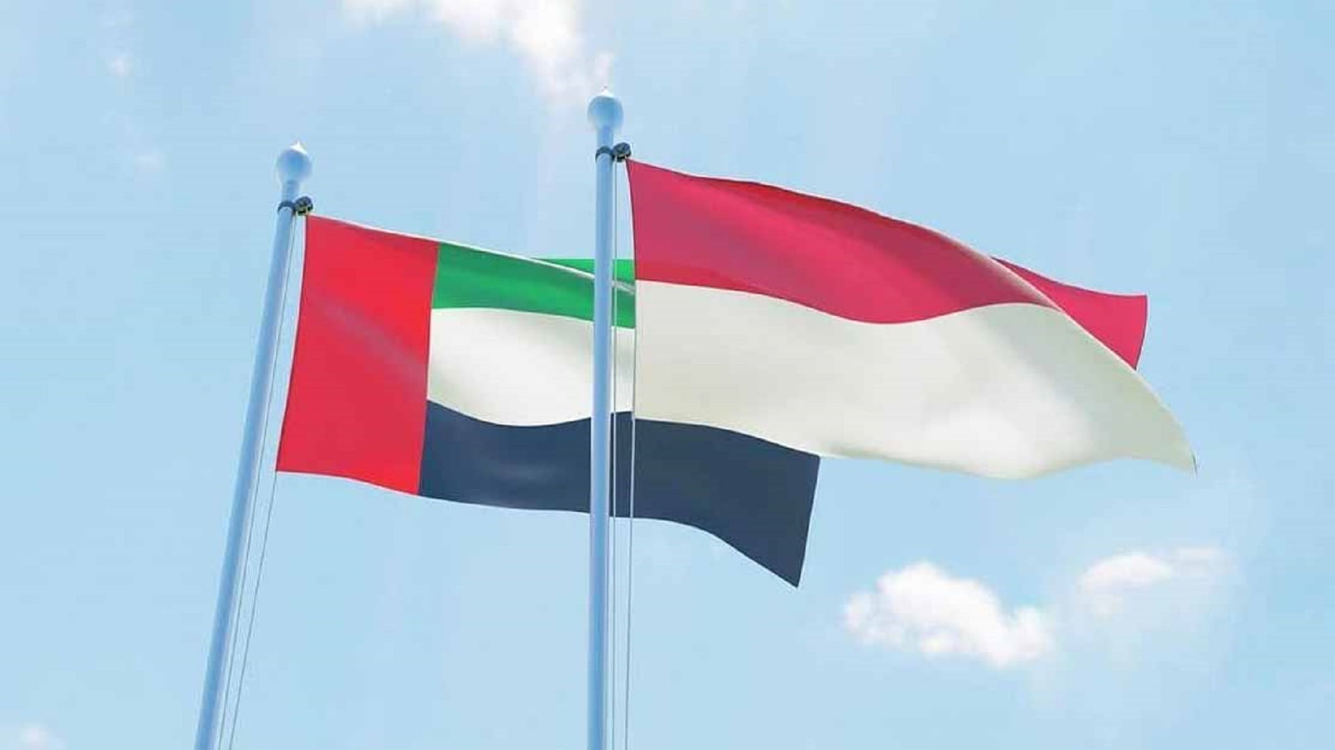 Image for the title: UAE sends 56 tonnes of medical supplies to Indonesia 