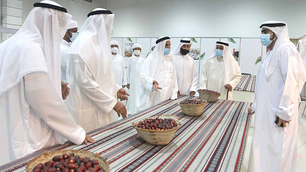 صورة بعنوان: مهرجان الذيد للرطب منصة سنوية ينتظرها ملاك النخيل لترويج منتجاتهم 