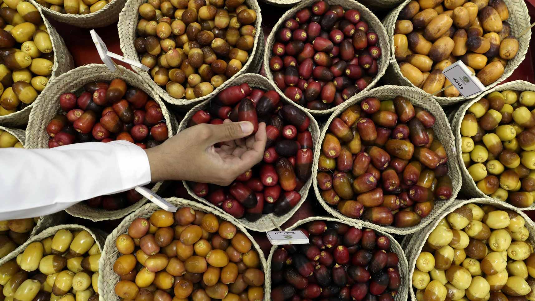 صورة بعنوان: مهرجان ليوا للرطب يختتم مسابقات دورته الـ17 