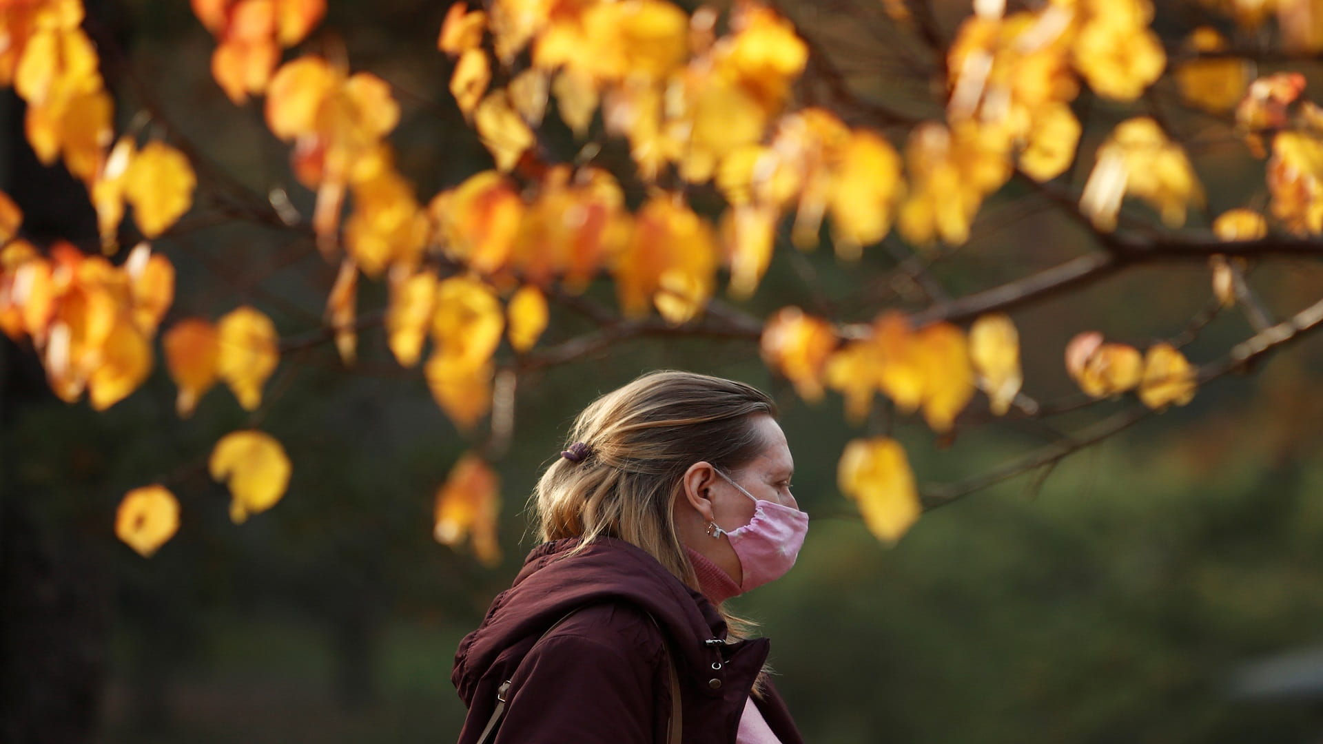 صورة بعنوان: روسيا ترصد  23239 إصابة جديدة بفيروس كورونا و727 وفاة 