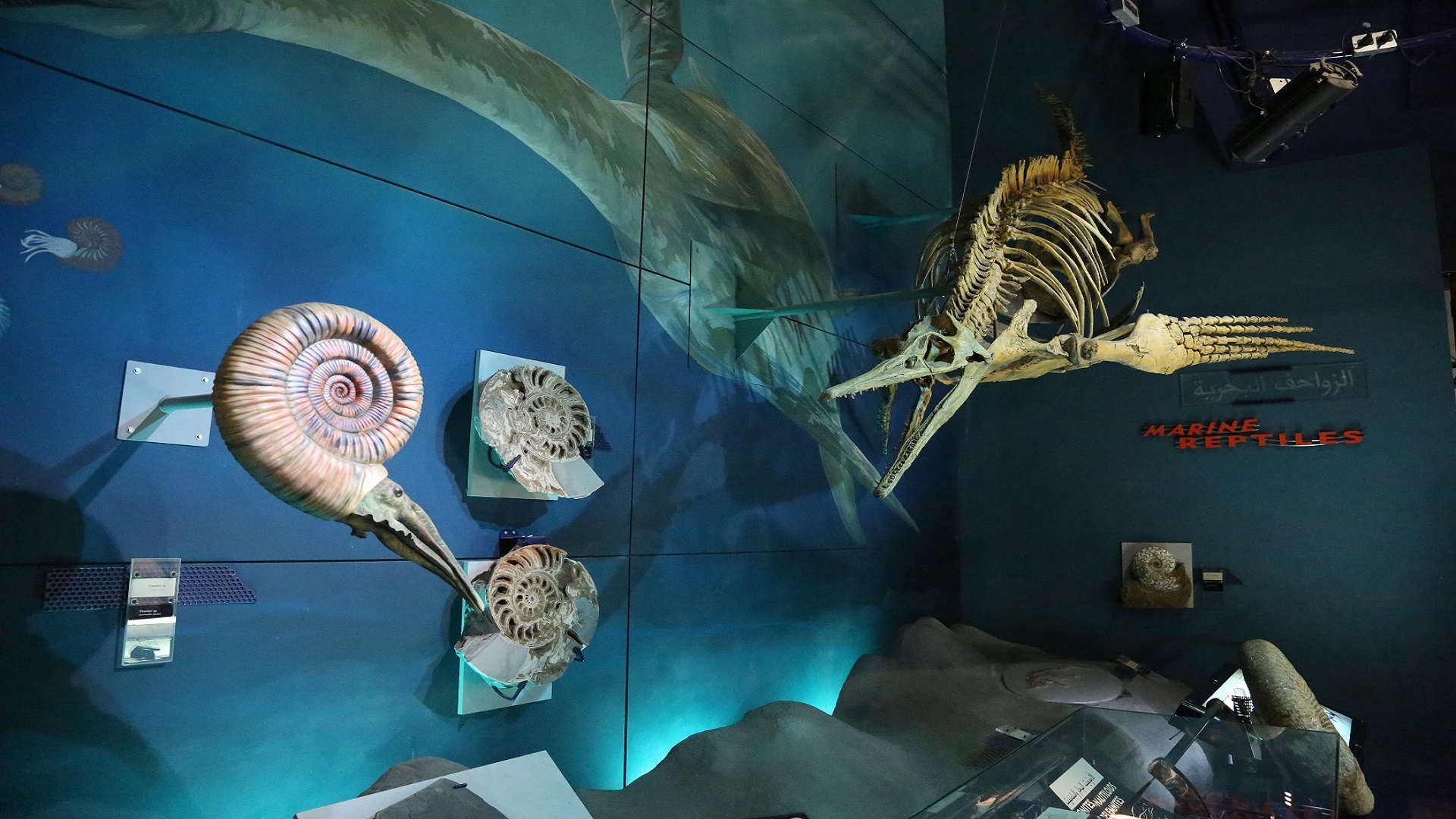 Image for the title: More than 20,000 visitors visit EPAA's centres in Sharjah 