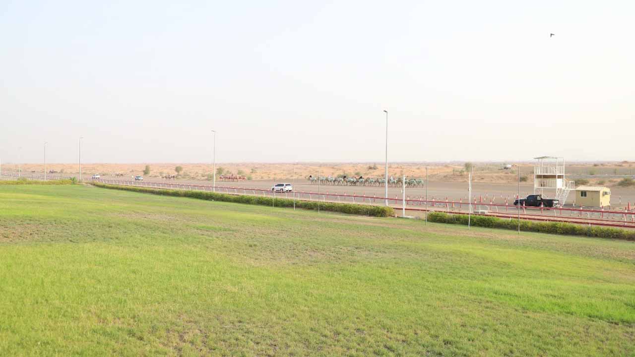 صورة بعنوان: مجلس الشارقة الرياضي ينجز إضاءة ميدان نادي سباقات الهجن 