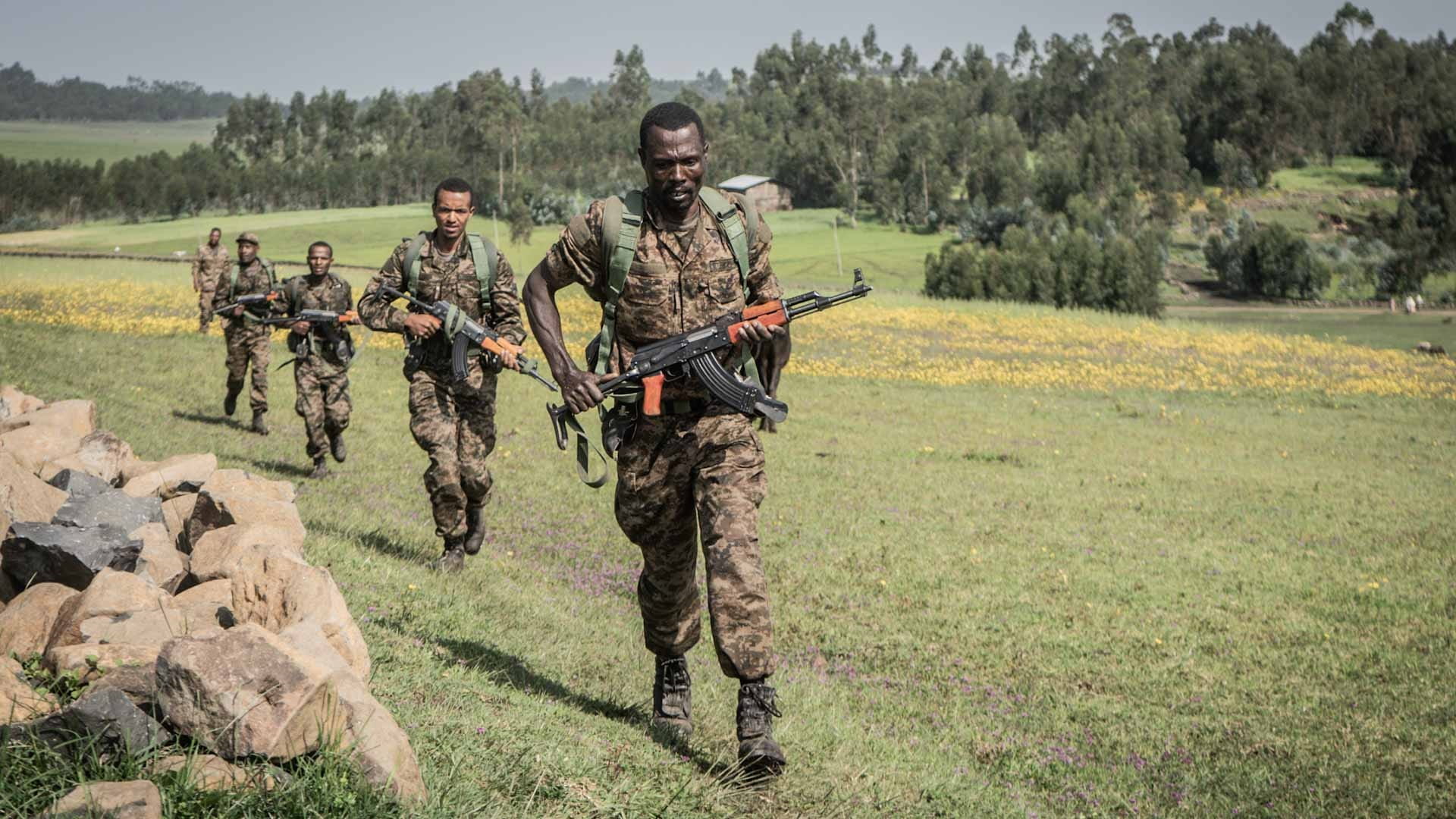 Image for the title: Ethiopia urges citizens to take up arms against Tigrayans 