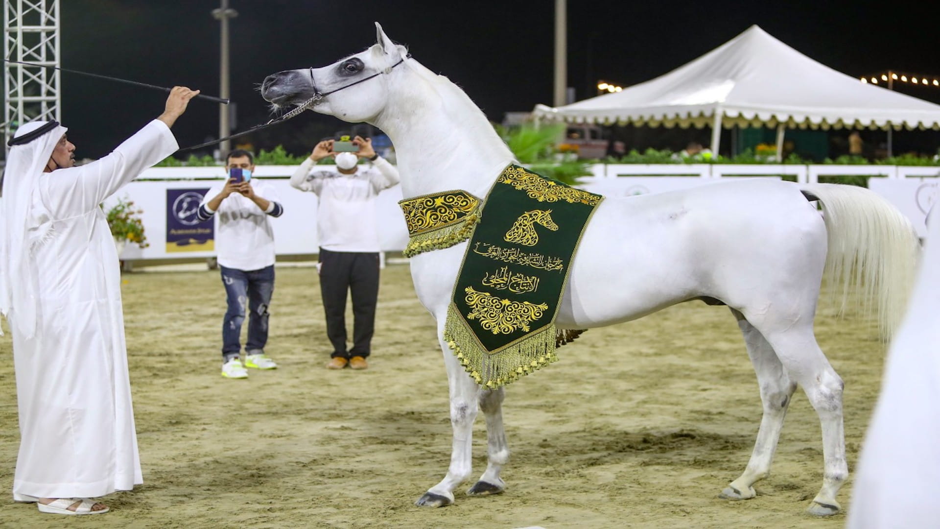 صورة بعنوان: مهرجان الجواد العربي الـ 18 ينطلق بنادي الشارقة للفروسية الخميس 