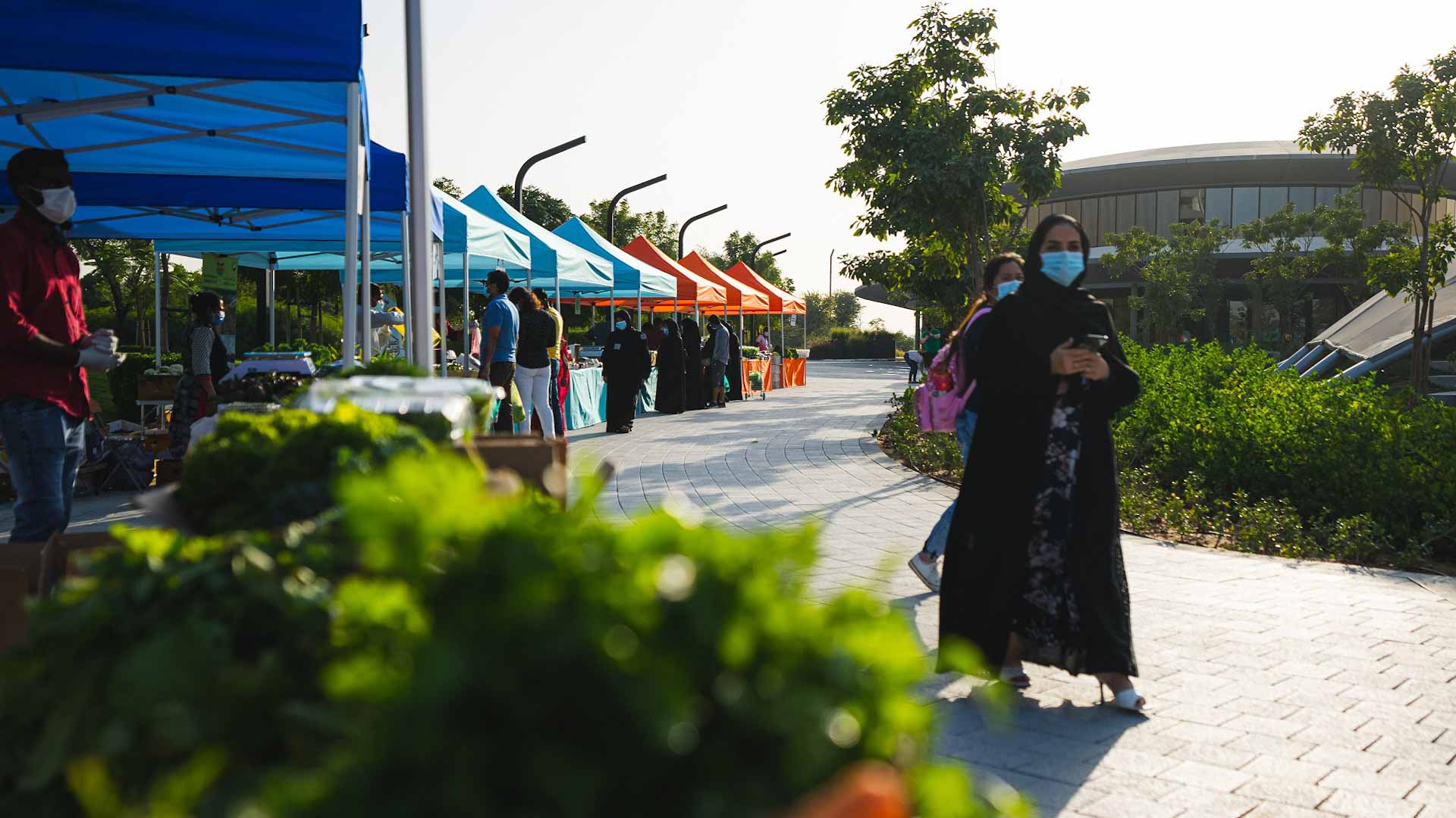 صورة بعنوان: أرادَ تطلق سوق منبت للمزارعين الإماراتيين بمساكن نسمة في الشارقة 