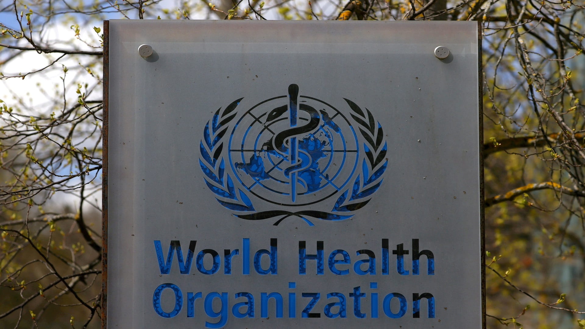 صورة بعنوان: العالم يواجه خطر تفشي الحصبة بسبب تعطل تطعيم الرضع أثناء الجائحة 