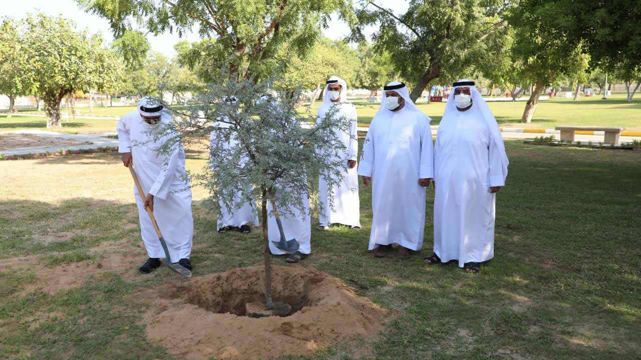 Image for the title: Al Hamriyah Municipality celebrates Intl Day for Tolerance 