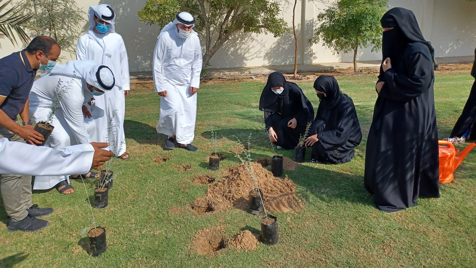 صورة بعنوان: اجتماعية الشارقة تحتفل بيوم التسامح العالمي بغرس 35 شتلة من الغاف 