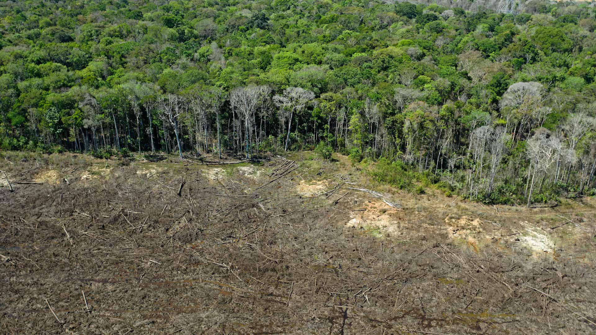 Image for the title: Brazil Amazon deforestation up 22% in a year, 15-yr record 