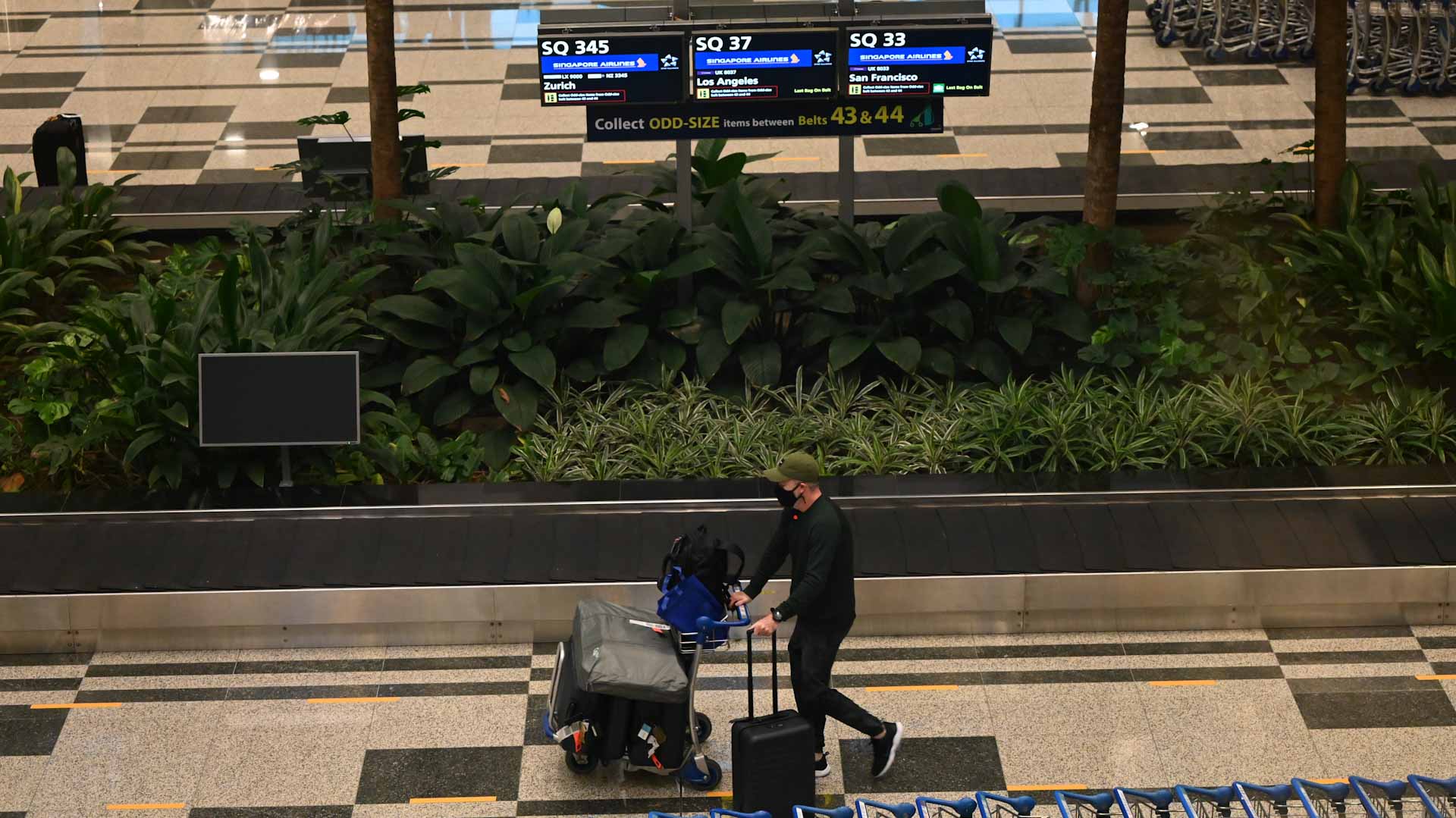 Image for the title: Canada to drop PCR COVID-19 test for some returning travelers 