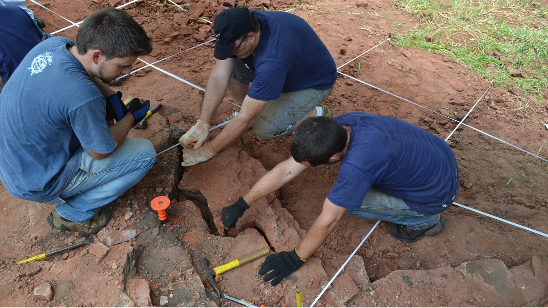 صورة بعنوان: اكتشاف نوع  نادر من الديناصورات بلا أسنان في البرازيل 
