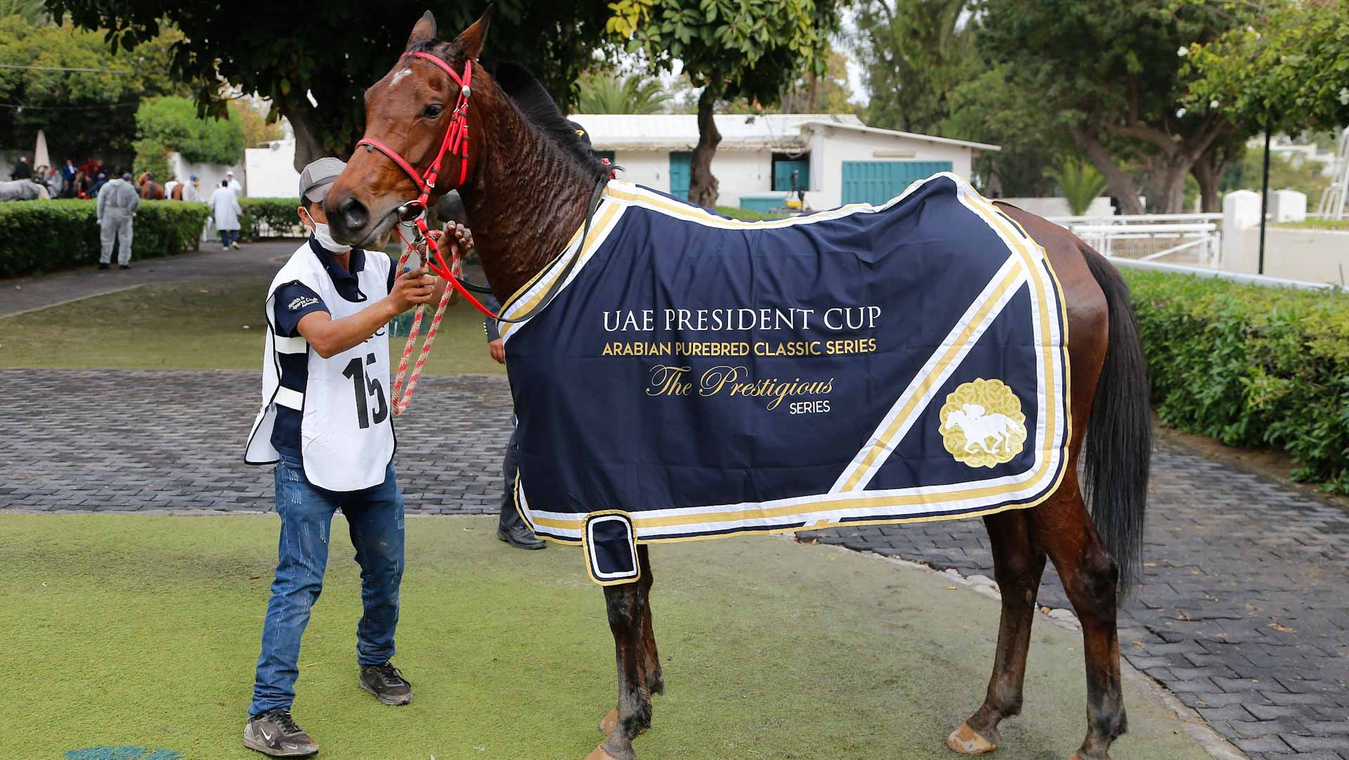 صورة بعنوان: المهرة "أولمبي" تقتنص لقب كأس رئيس الدولة للخيول العربية في المغرب 