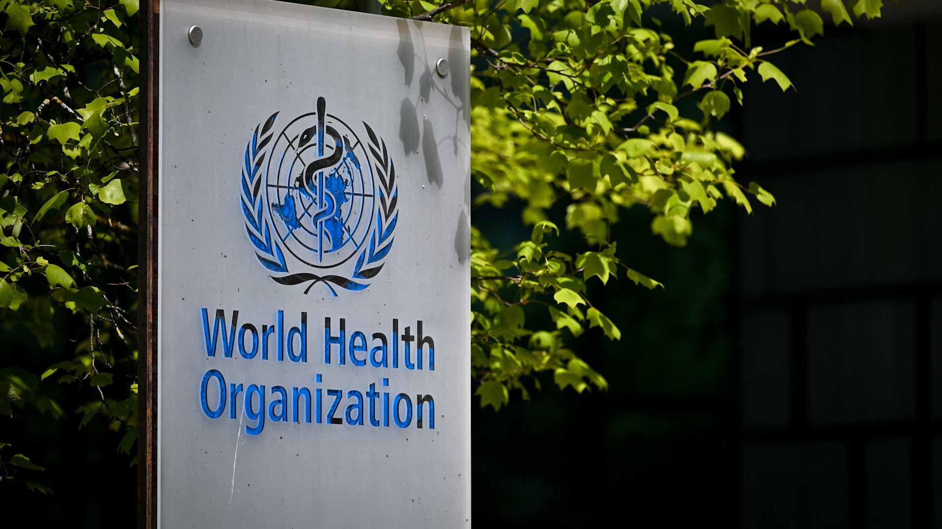 Image for the title: WHO cautions against travel curbs over new variant 