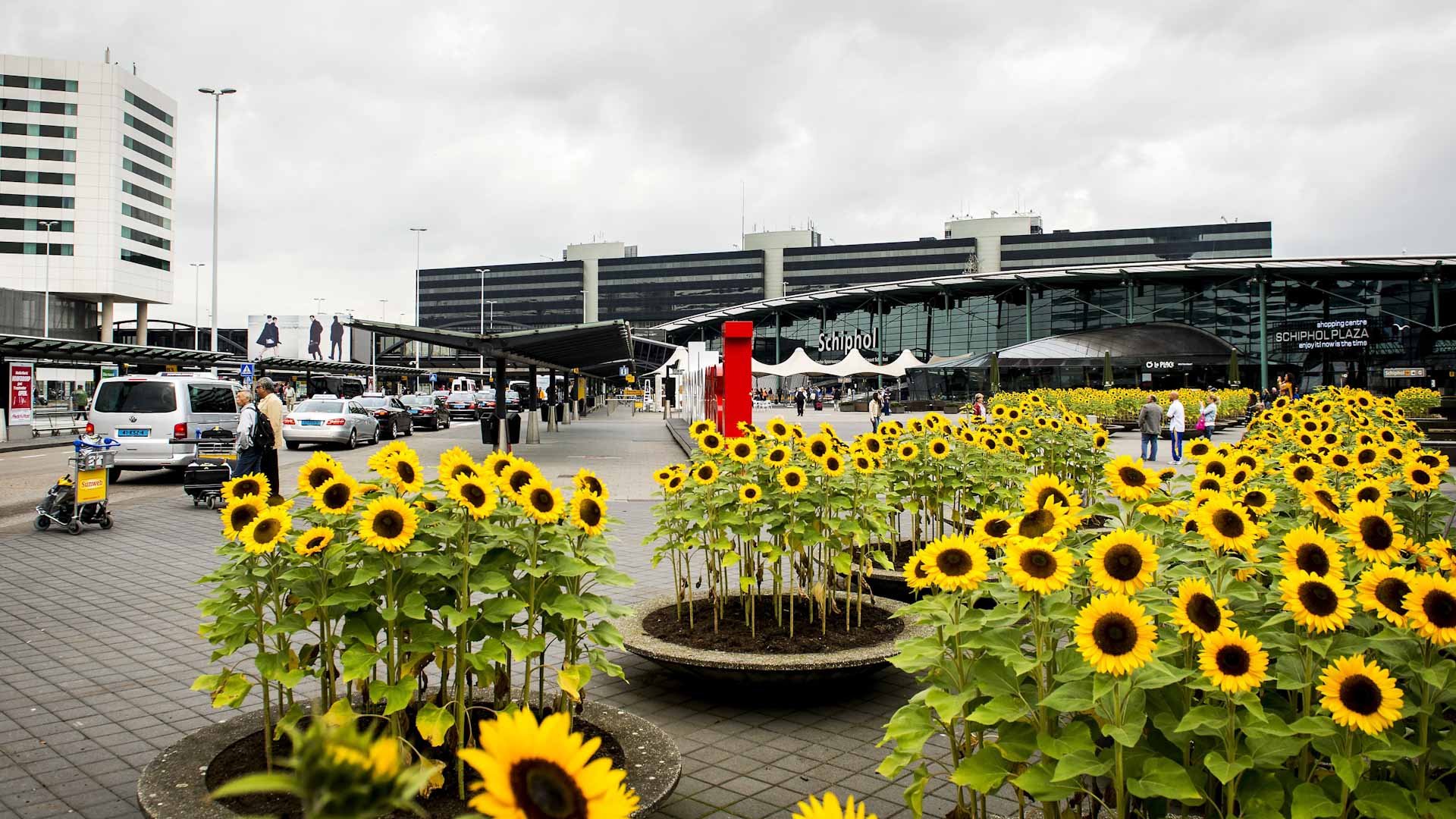 Image for the title: Dozens of COVID-19 cases on flight from SA, Dutch say 