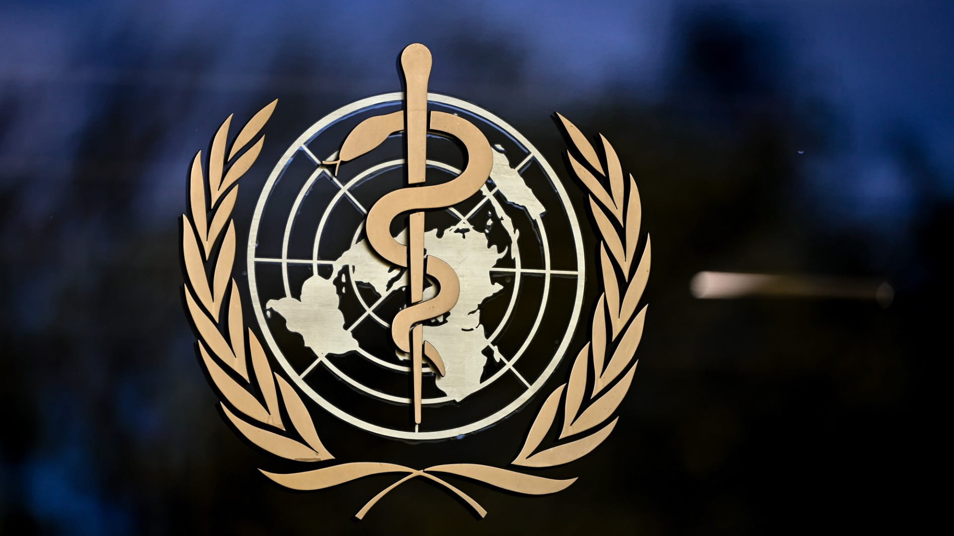 Image for the title: WHO warns Covid variant Omicron risk 'very high' 