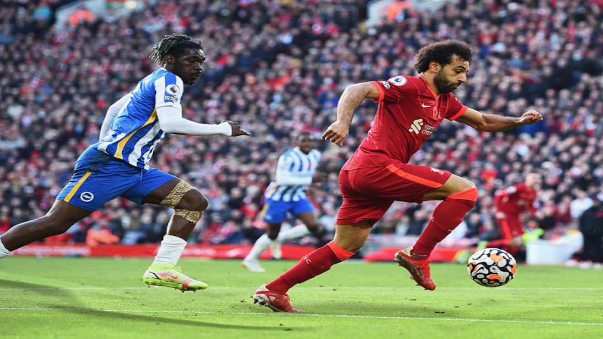 صورة بعنوان: ليفربول يتعادل مع برايتون ويفرط بـ 3 نقاط ثمينة بالدوري الإنجليزي 