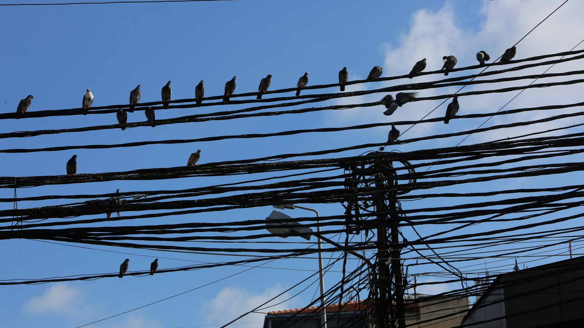Image for the title: Lebanon restores power supply after complete halt 