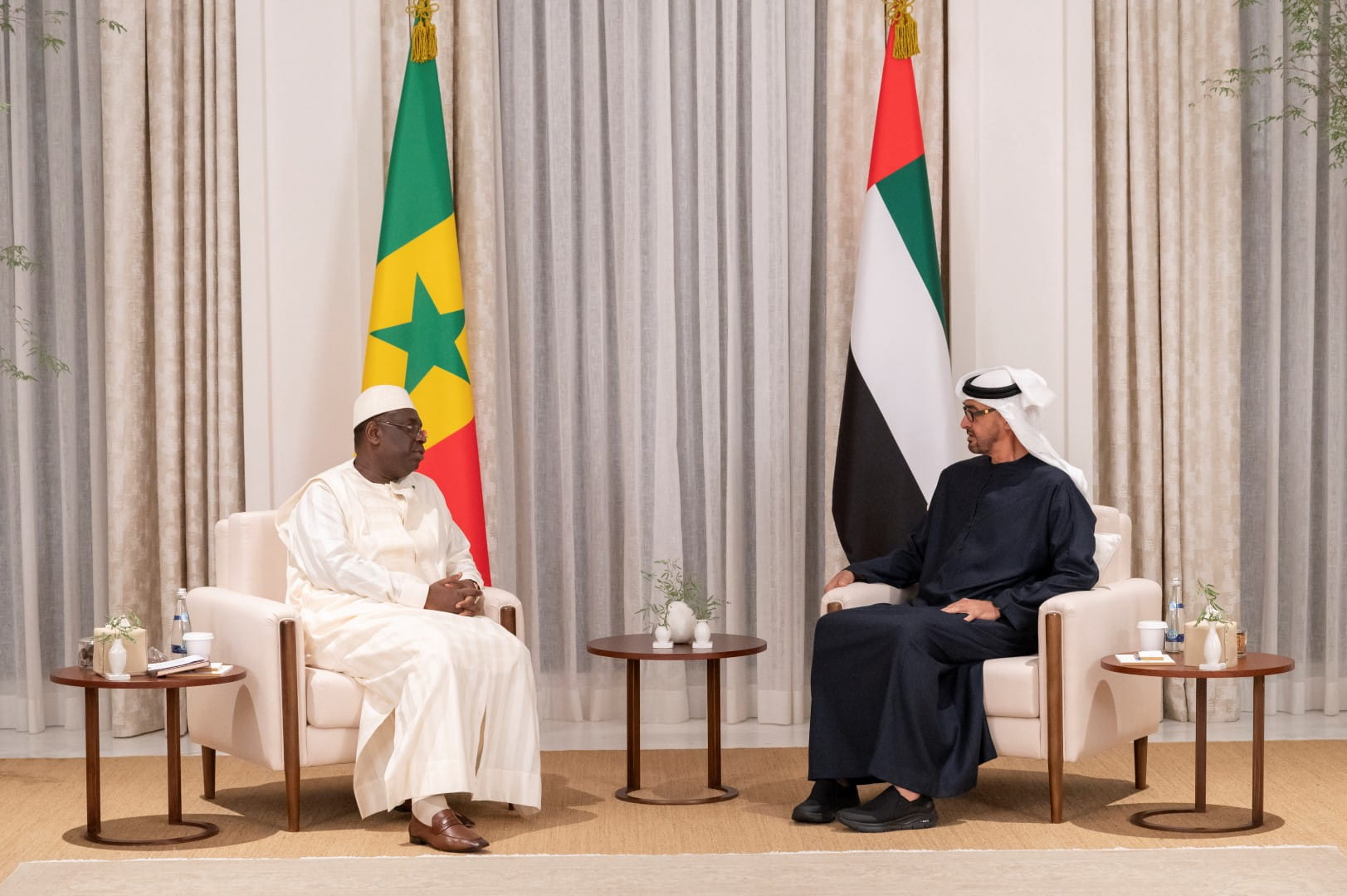 Image for the title: Mohamed bin Zayed, Pres of Senegal review promoting relations 