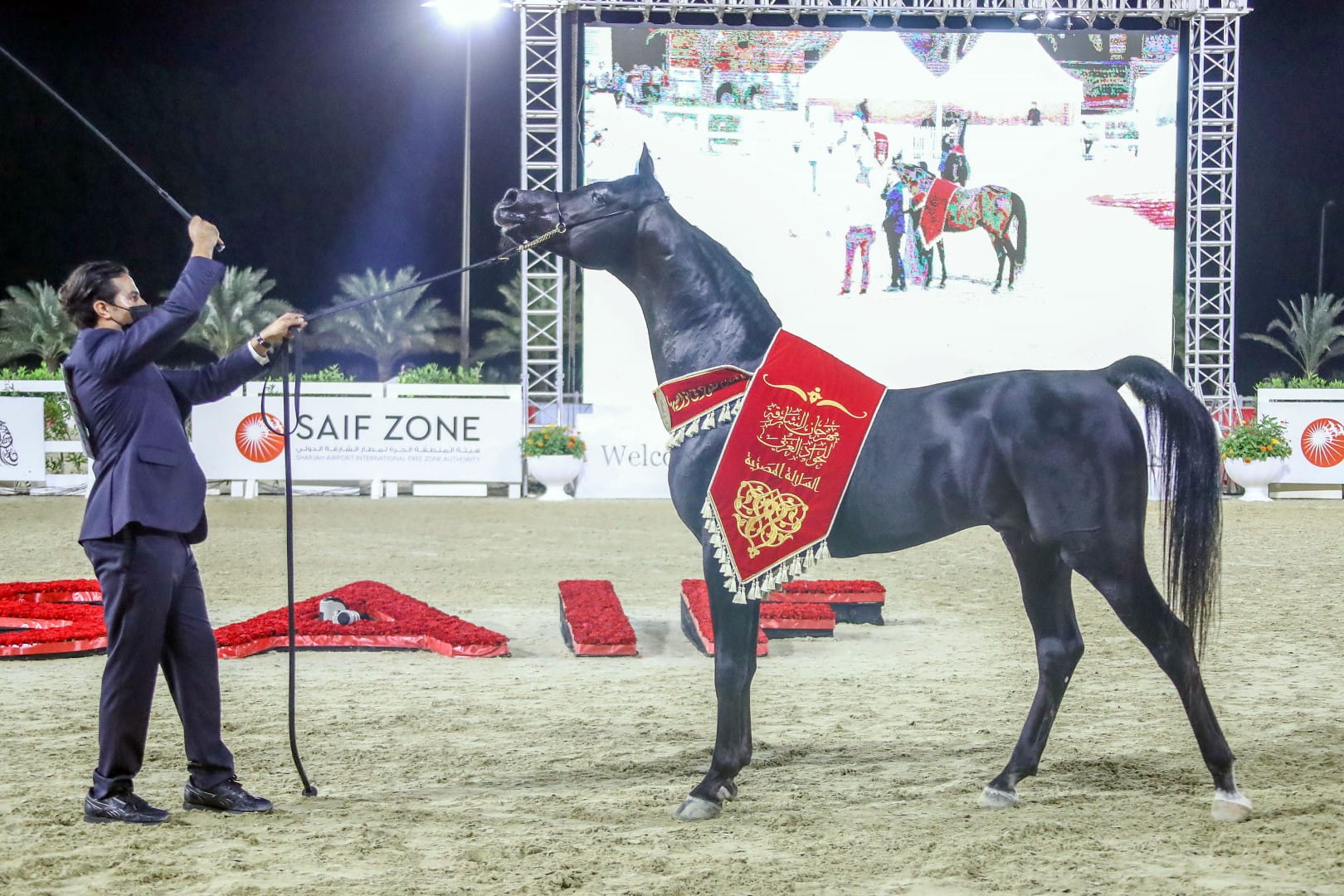 Image for the title: Friday marks start of 15th Sharjah Arabian Horse Festival  
