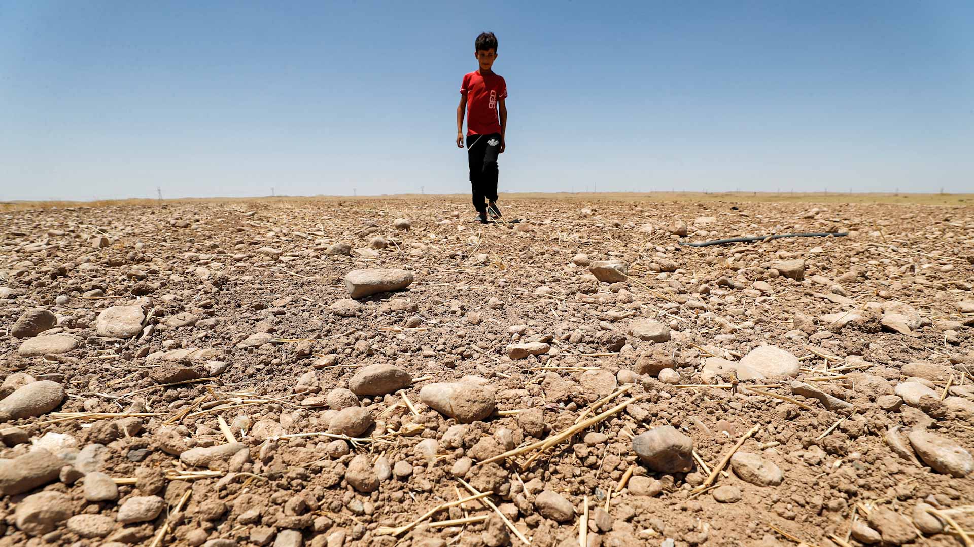 Image for the title: Drought-hit Iraq's crop farmland to be halved 