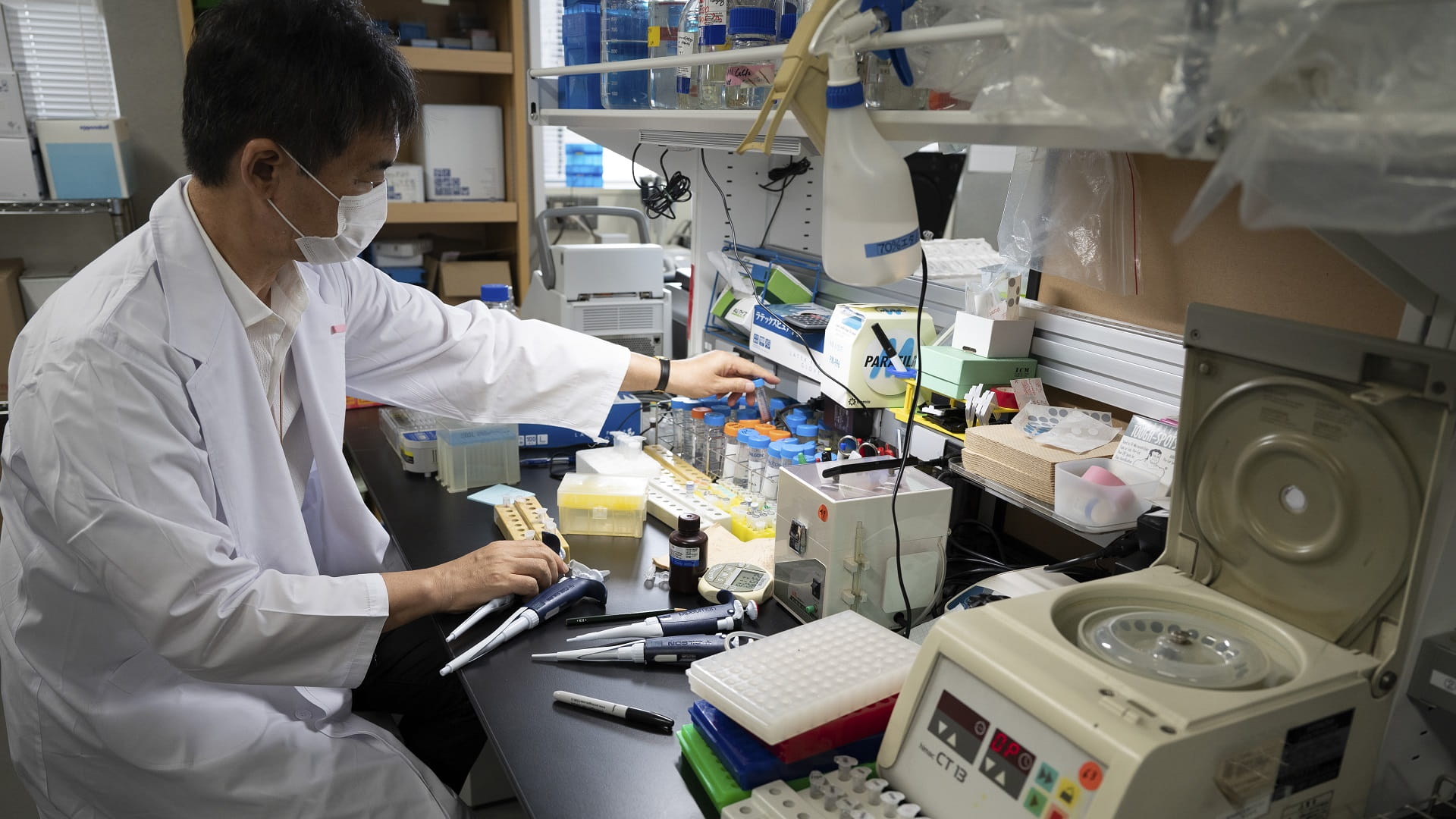 Image for the title: Japan starts Phase II/III clinical trial for new COVID-19 vaccine 