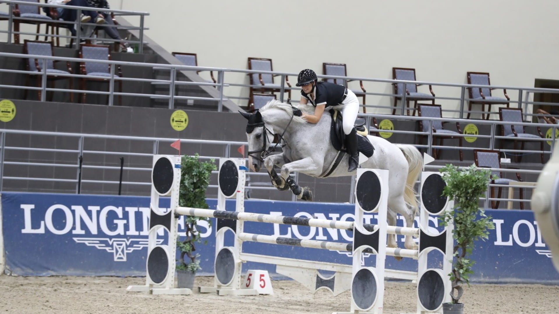 صورة بعنوان: 129 فارساً محلياً في المنافسات التدريبية بنادي الشارقة للفروسية 