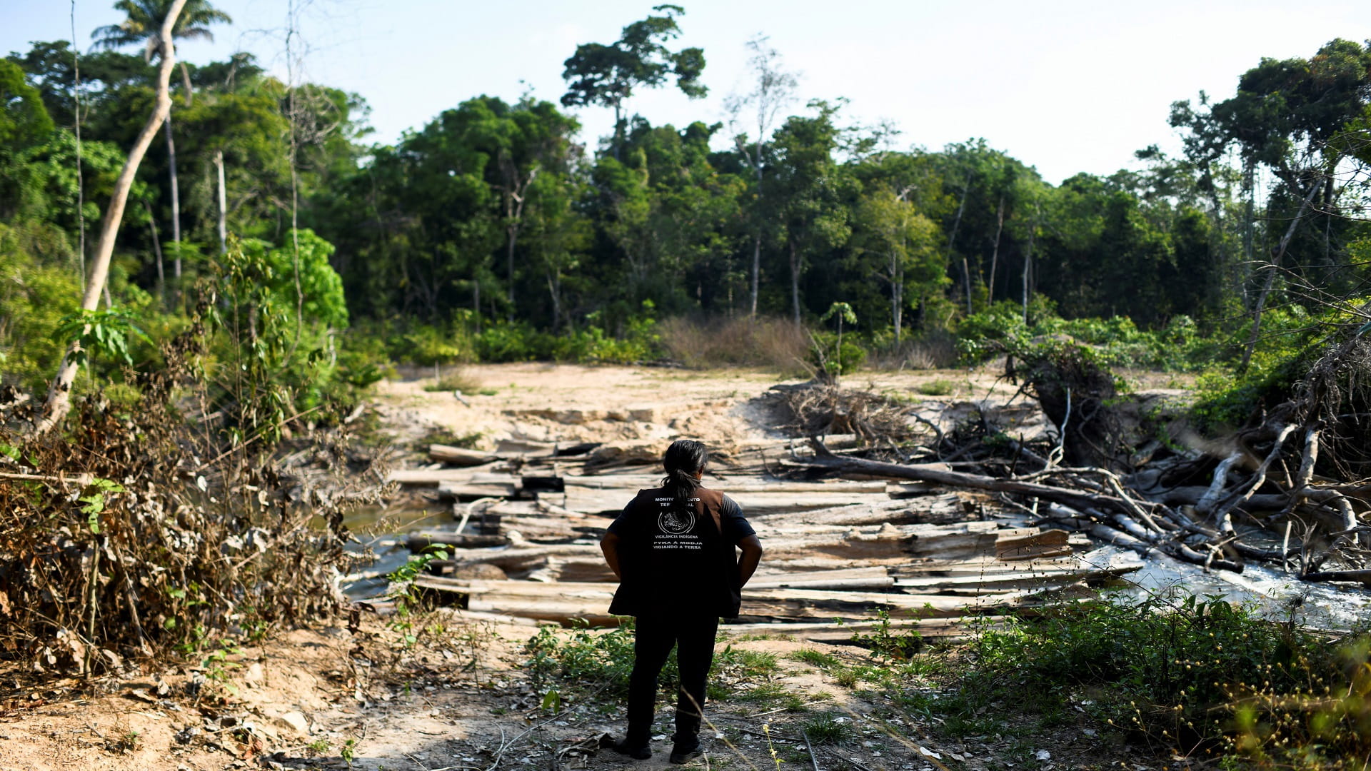 صورة بعنوان: هبوط طفيف بمعدل إزالة غابات الأمازون البرازيلية في أغسطس 