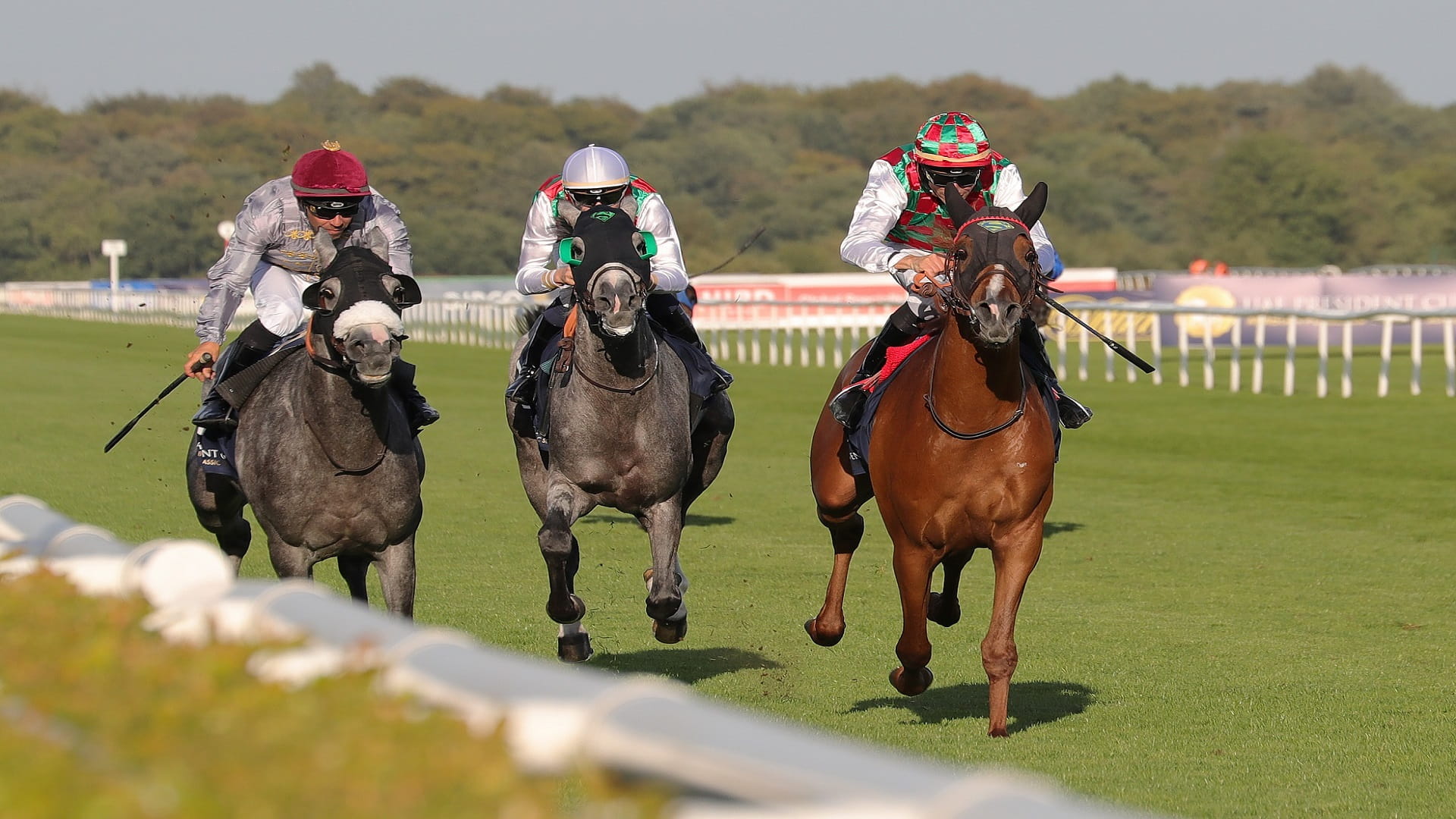 Image for the title: UAE President’s Cup World Series for PAH reaches Britain 