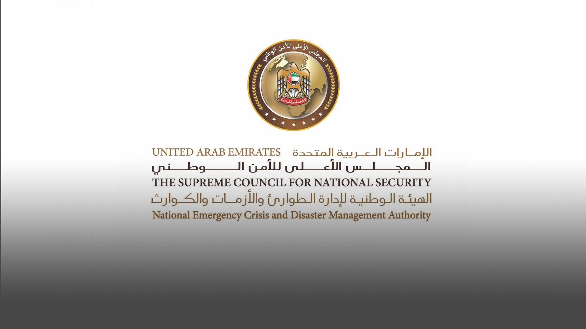 Image for the title: NCEMA, UAE Space Agency discuss cooperation in space sector 