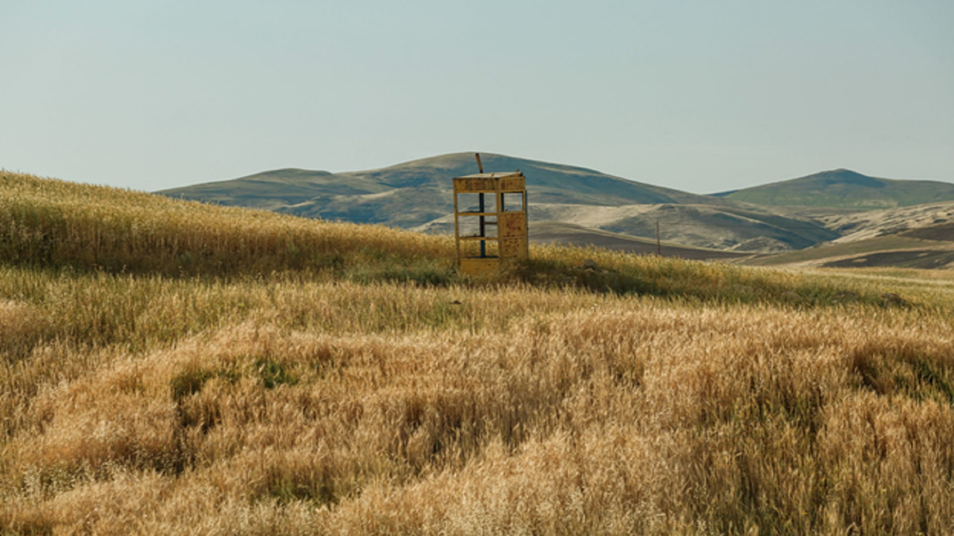 صورة بعنوان: الشارقة للفنون تنظم النسخة التاسعة من معرض "الشارقة، وجهة نظر" 