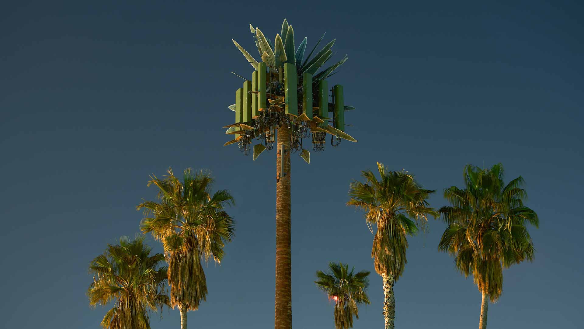 Image for the title: Sharjah Art Foundation announces winners of VPS9 photography prize 