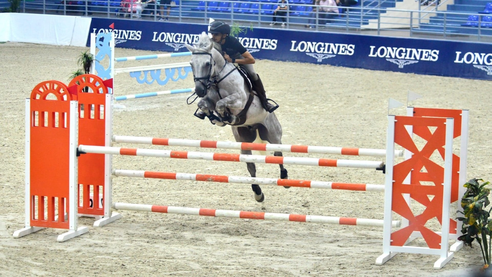 صورة بعنوان: موفي الكربي بطل ختام الموسم الصيفي بنادي الشارقة للفروسية والسباق 