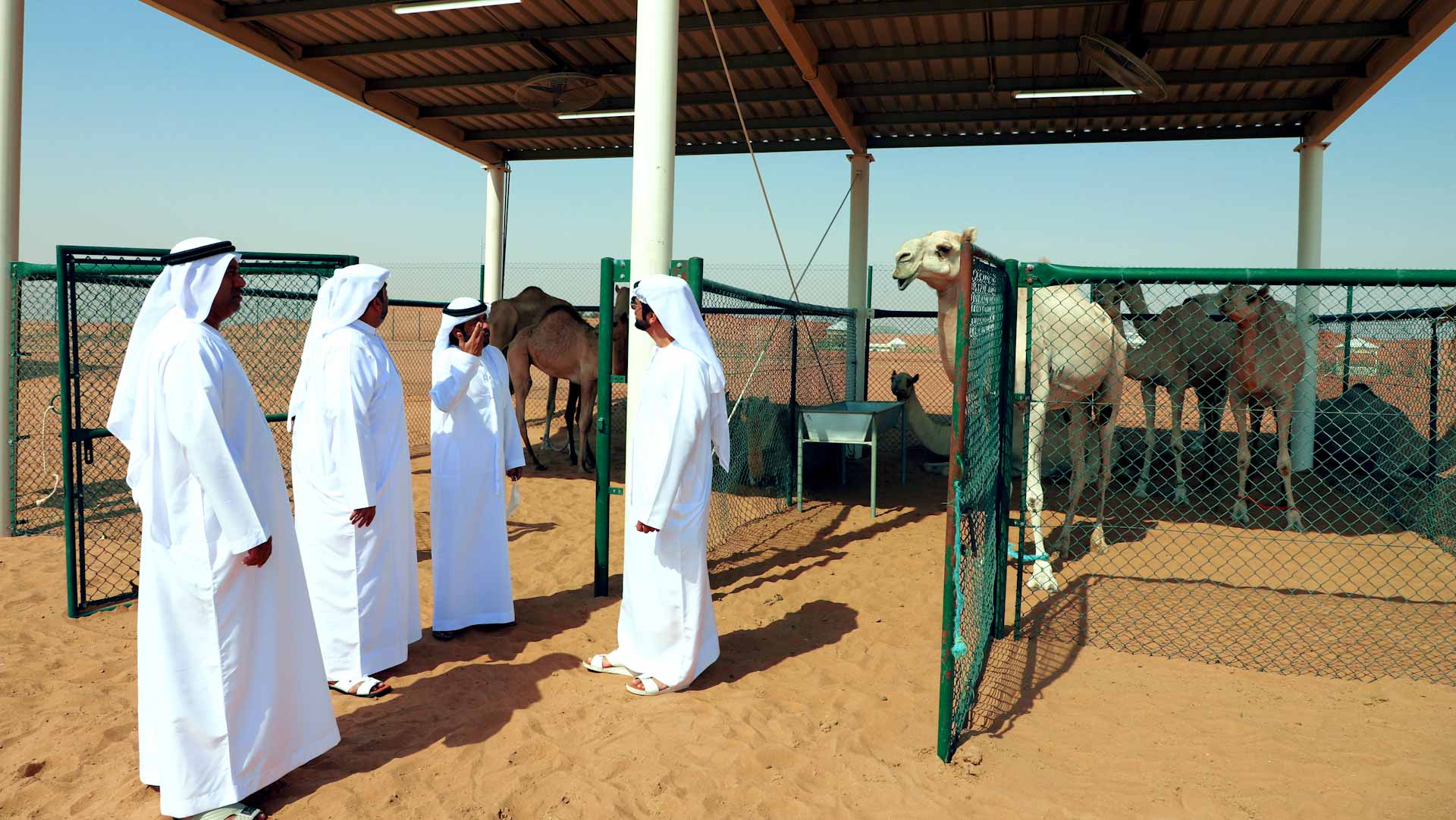 صورة بعنوان: "بلدي وبلدية الحمرية" يزوران مرعى الشمال بمنطقتي سهيلة وزبيدة 