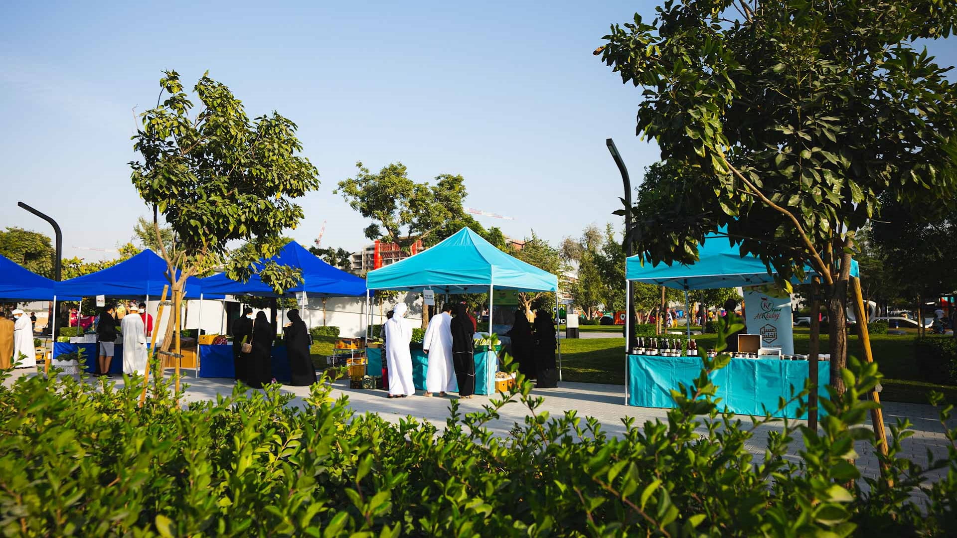 صورة بعنوان: سوق منبت من أرادَ يعود إلى الجادة مجدداً مع بدء الموسم الشتوي 