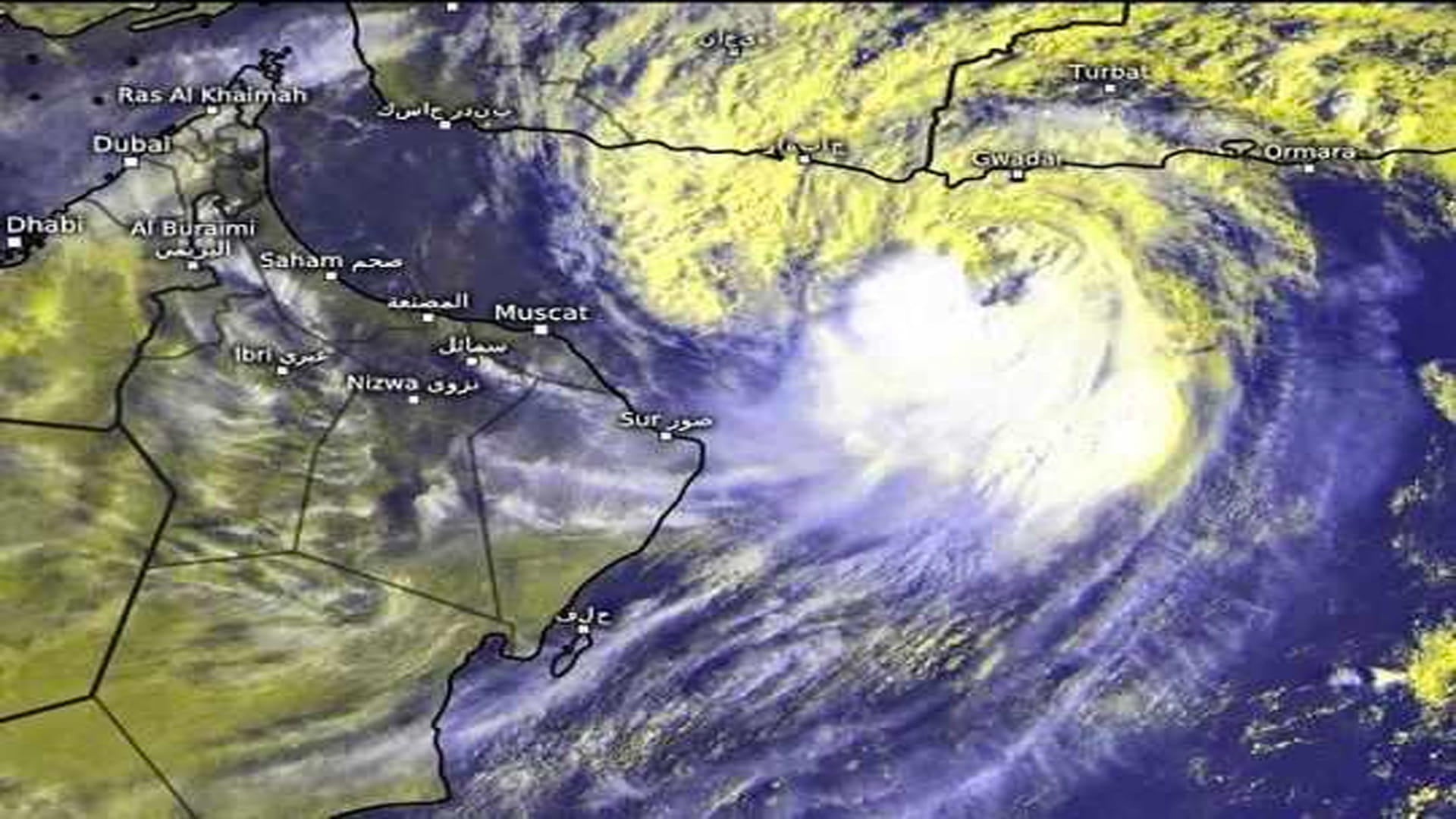 Image for the title: NCEMA team updated on tropical cyclone 'Shaheen' 