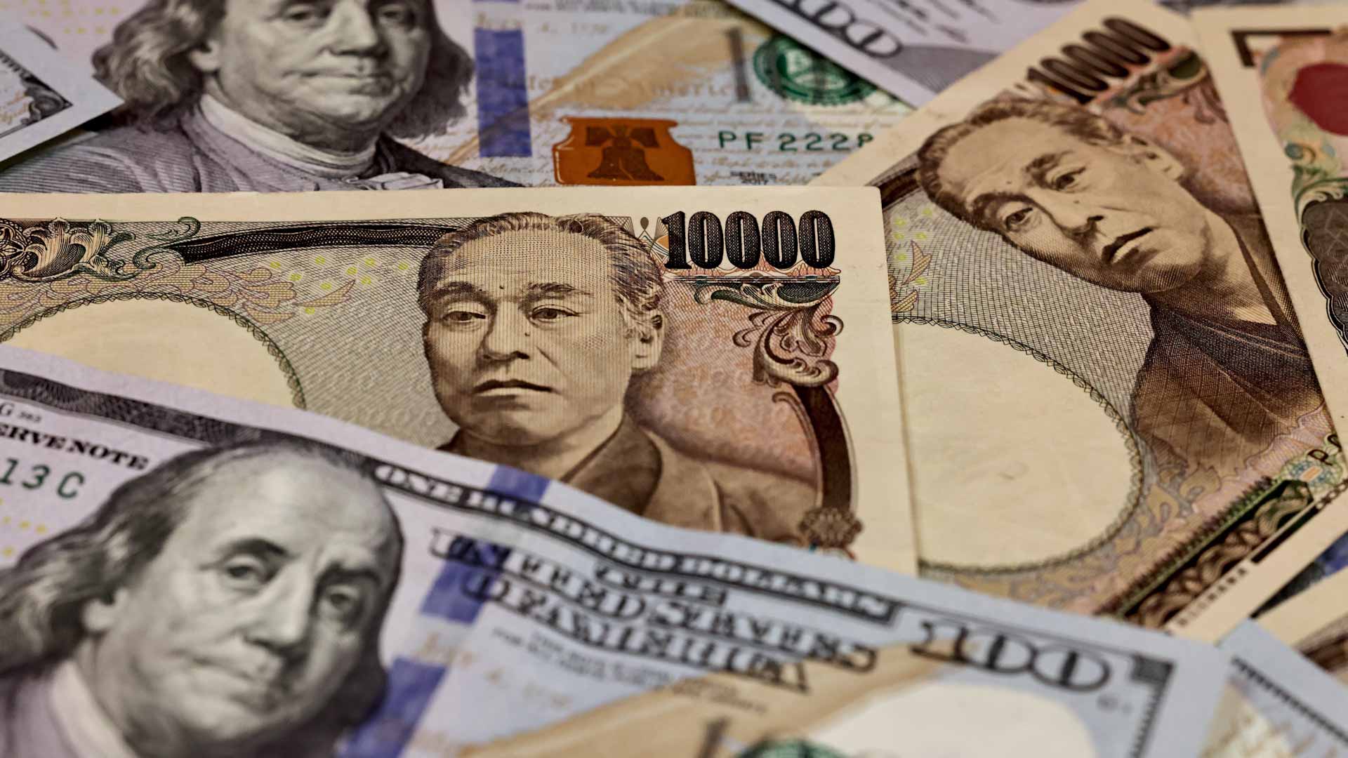 Image for the title: Yen drops to 20-year low against dollar 