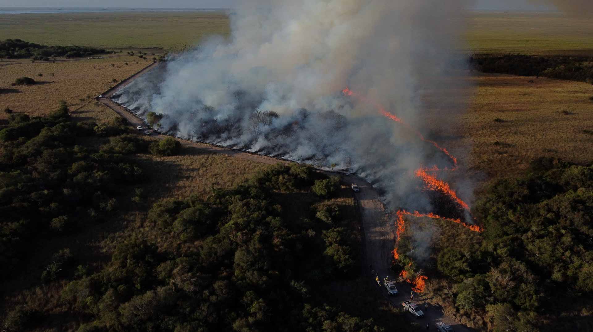 Image for the title: Wildfires explode in drought-hit New Mexico 