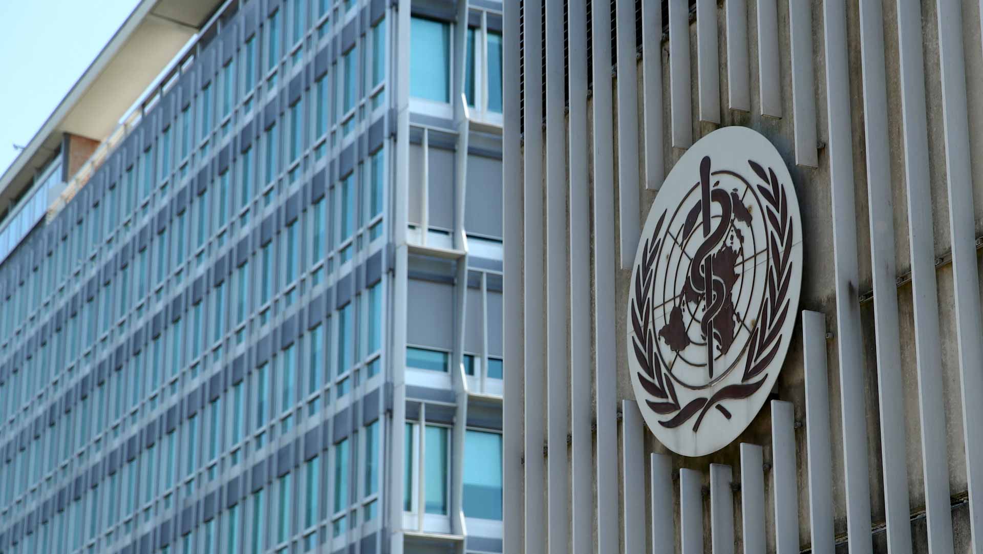 صورة بعنوان: "الصحة العالمية": الملاريا قتلت 602 ألف شخص بأفريقيا العام الماضي 