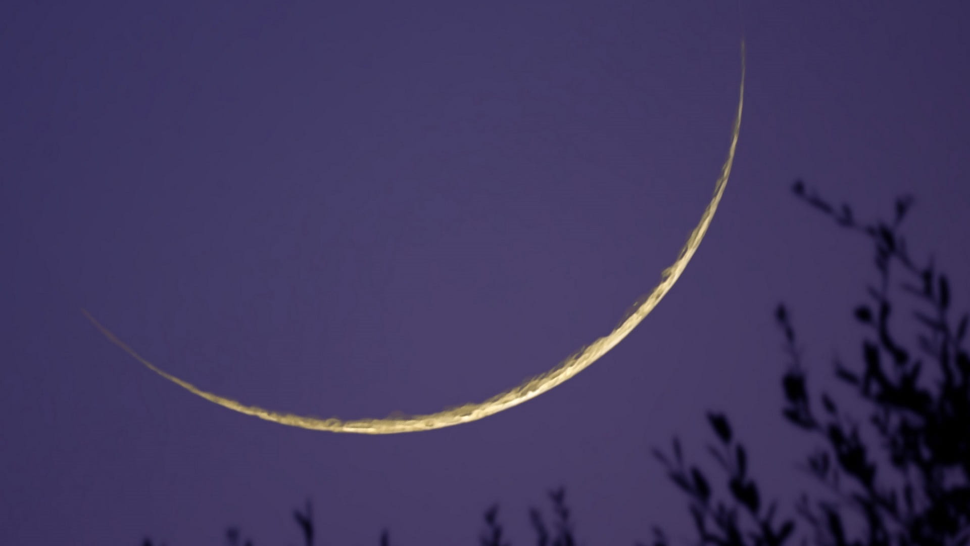 صورة بعنوان: لجنة تحري الرؤية بالدولة تدعو المسلمين لتحري رؤية هلال شوال السبت 