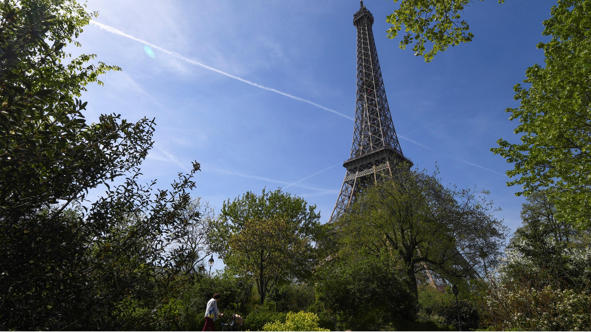 Image for the title: Parisians up in arms over plan to fell trees near Eiffel Tower 