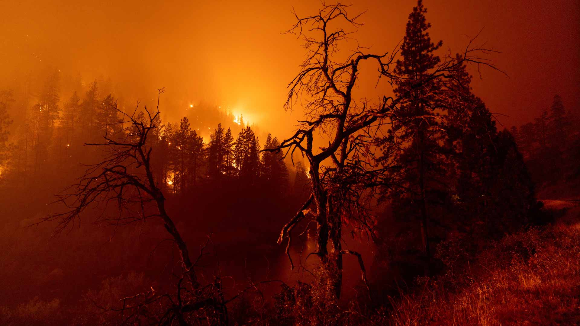 Image for the title: Fast-moving wildfire in California forces residents to evacuate 